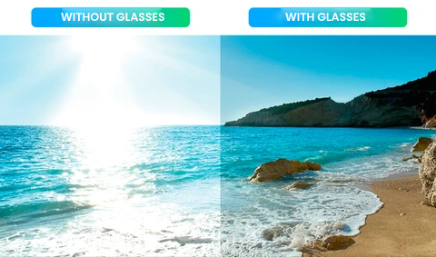 JG Women's Polarized Glasses